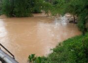 Seorang Pelajar Tenggelam Di Krueng Langsa