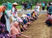 Manegen Alokasikan 20% Dana Desa Untuk Ketahanan Pangan.