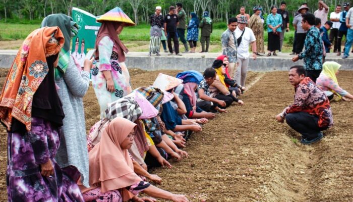 Manegen Alokasikan 20% Dana Desa Untuk Ketahanan Pangan.