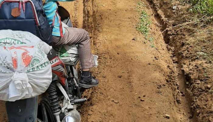 Di Angkola Barat, Puluhan Tahun Jalan Masih Berlumpur   
