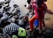 Diduga Akibat Limbah PKS, Banyak Ikan Terapung Di Sungai Sosa