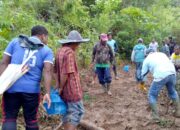 Warga Temukan Organ Tubuh Korban Amukan Kawanan Gajah