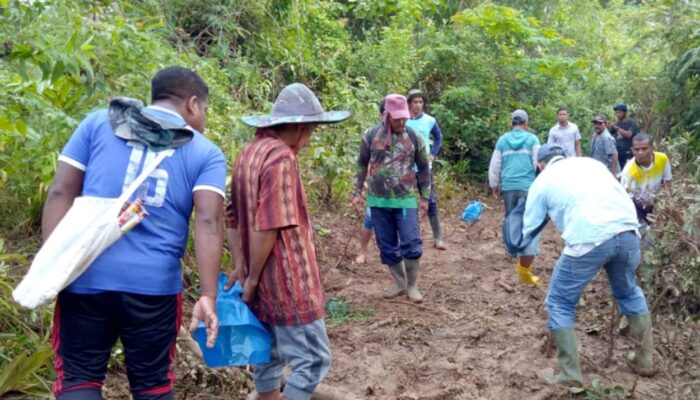 Warga Temukan Organ Tubuh Korban Amukan Kawanan Gajah