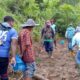 Warga Temukan Organ Tubuh Korban Amukan Kawanan Gajah