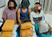 Polres P.Siantar Ringkus 1 Wanita Dan 2 Pria Penjual Ganja
