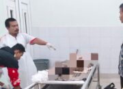 Warga Pidie Tewas Diamuk Gajah Liar