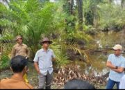 140 Hektar Ladang Sawit Di Batubara Terendam Banjir