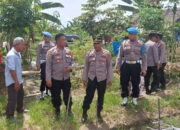 Kasat Binmas Polres Langsa Tinjau Program Ketahanan Pangan Gp Timbang Langsa