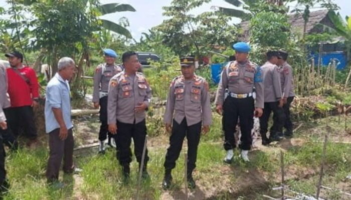 Kasat Binmas Polres Langsa Tinjau Program Ketahanan Pangan Gp Timbang Langsa