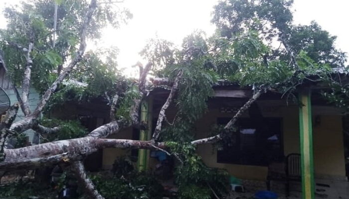 Angin Kencang Landa Aceh Timur, Rumah Warga Rusak Tertimpa Pohon