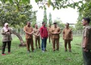 Pj Bupati Aceh Besar Turunkan Tim Tangani Anjing Hutan