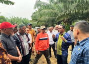 Luas HGU PT Socfindo Tanah Gambus Harus Dibuka Secara Jelas