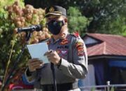 Polres Madina Amankan 78 Kg Ganja Dan Sabu