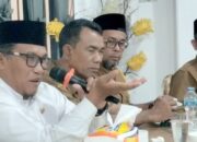 MCP 2022 Kabupaten Pidie Naik 73,94%
