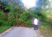 Jalan Trom Tertutup Longsor Dan Pohon Tumbang