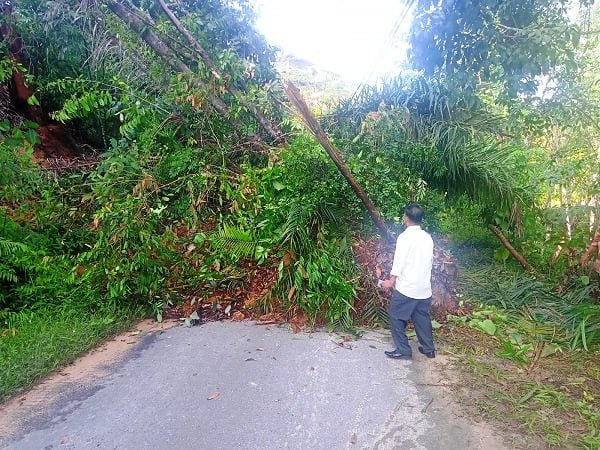 Tampak petugas BPBD Kota Langsa sudah berada di lokasi tanah longsor dan pohon tumbang yang menutupi jalan Trom, Sukajadi Makmur, Kecamatan Langsa Baro, Rabu (19/10). Waspada/Rapian
