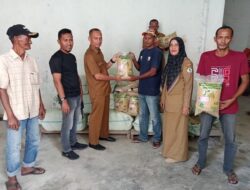 Bibit Padi Terendam Banjir Aceh Utara, Pj.Gubernur Aceh Bantu Benih