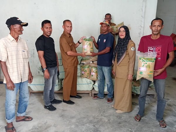 Bantuan benih padi varietas Inpari diterima kelompok tani Ketapang Jaya Lhoksukon, Aceh Utara, Senin (24/10). (Waspada/ist)