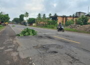 Warga Gunakan Ilalang Tutupi Jalan Negara