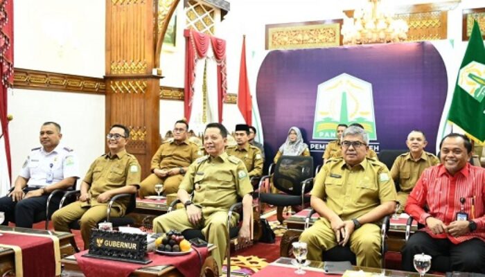 Harga Komoditas Pangan Tiga Daerah Di Aceh Stabil
