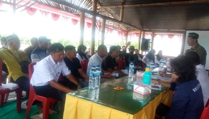 Penegakan Hukum Tak Berjalan, Penebangan Bakau Di Langkat Merajalela