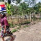 Seorang ibu, warga transmigrasi di perbukitan Mampre, Kecamatan Tiro, Kabupaten Pidie angkut air, Kamis (13/10) Waspada/Muhammad Riza