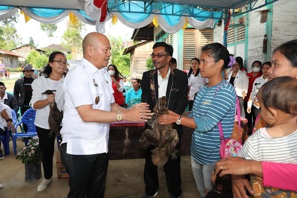 Bupati Tapanuli Utara Nikson Nababan memberikan bantuan bibit ternak kepada masyarakat Desa Sibaragas yang disaksikan Kepala Desanya Waldemar Lumbantoruan, Rabu (12/10). Desa Sibaragar adalah salah satu dari dua desa penerima bantuan bibit ternak itik untuk meningkatkan ketahanan pangan dan mempercepat penurunan angka stunting. Waspada/ist