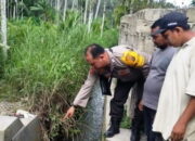 Kakek 80 Tahun Tewas Di Saluran Irigasi Tapsel