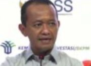 Realisasi Investasi Di Kuartal III/2022 Tumbuh 42,1 Persen&nbsp;