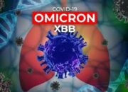 Covid-19 Subvarian Omicron XBB Belum Ada Di Sumut