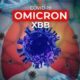 Covid-19 Subvarian Omicron XBB Belum Ada Di Sumut