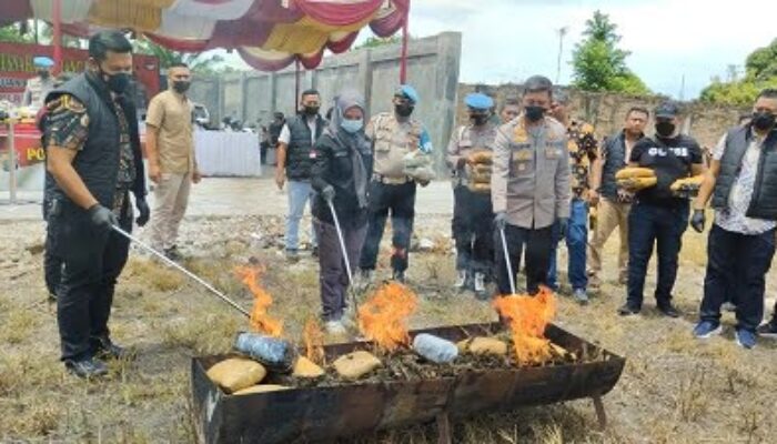 Polrestabes Medan Musnahkan 84 Kg Ganja Kering