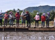 Bantu Petani Yang Gagal Panen Akibat Sawah Terendam Banjir
