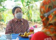 Gencarkan Edukasi Kasus Gagal Ginjal Akut Pada Anak