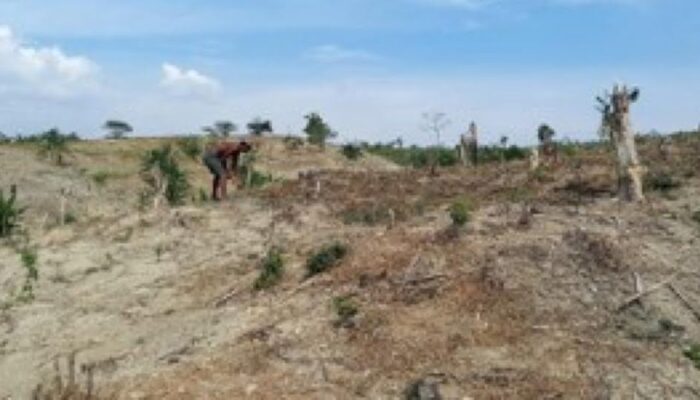 KPH Jawa:KHDPK Memulihkan Hutan Jawa