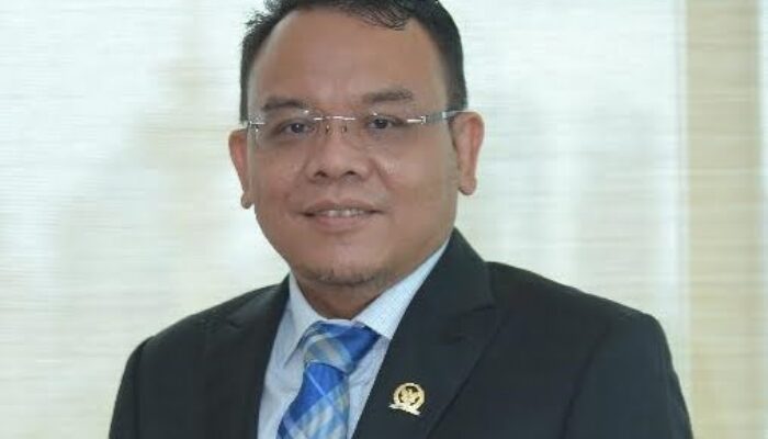 F-PAN DPR RI: Segera Tangani Kasus Gagal Ginjal Akut