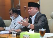 Anggota DPRD Sumut Zeira Salim Ritonga Desak Segera Tarik Obat Sirop