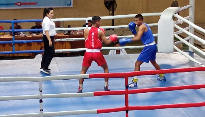 9 Petinju Medan Tembus Partai Final