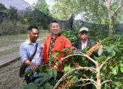 Buyer Singapura Tinjau Industri PDM Coffee, Bangun kerjasama Ekspor