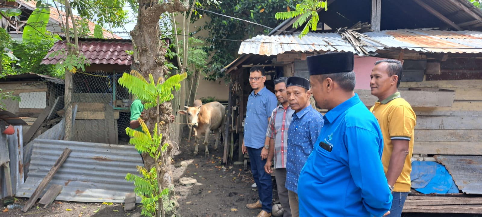 Anggota DPRK Serahkan Sapi Untuk khaduri Maulid