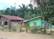 Enam Desa Masih Terendam Banjir Di Kecamatan Rantau