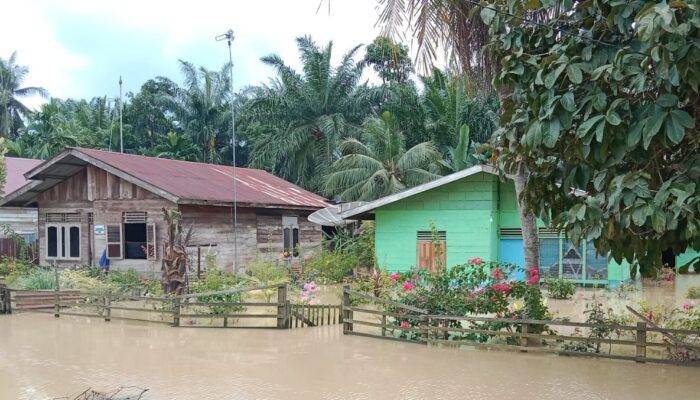 Enam Desa Masih Terendam Banjir Di Kecamatan Rantau
