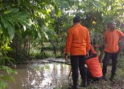 Terpeleset Di Kolam Dua Balita Tewas Tenggelam