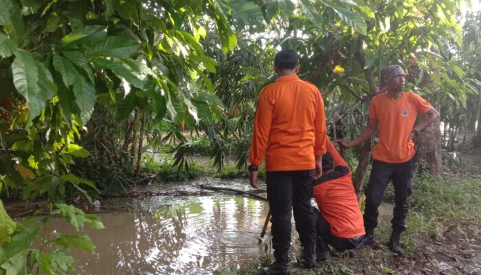 Terpeleset Di Kolam Dua Balita Tewas Tenggelam