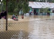 Tujuh Kecamatan Di Aceh Timur Dikepung Banjir
