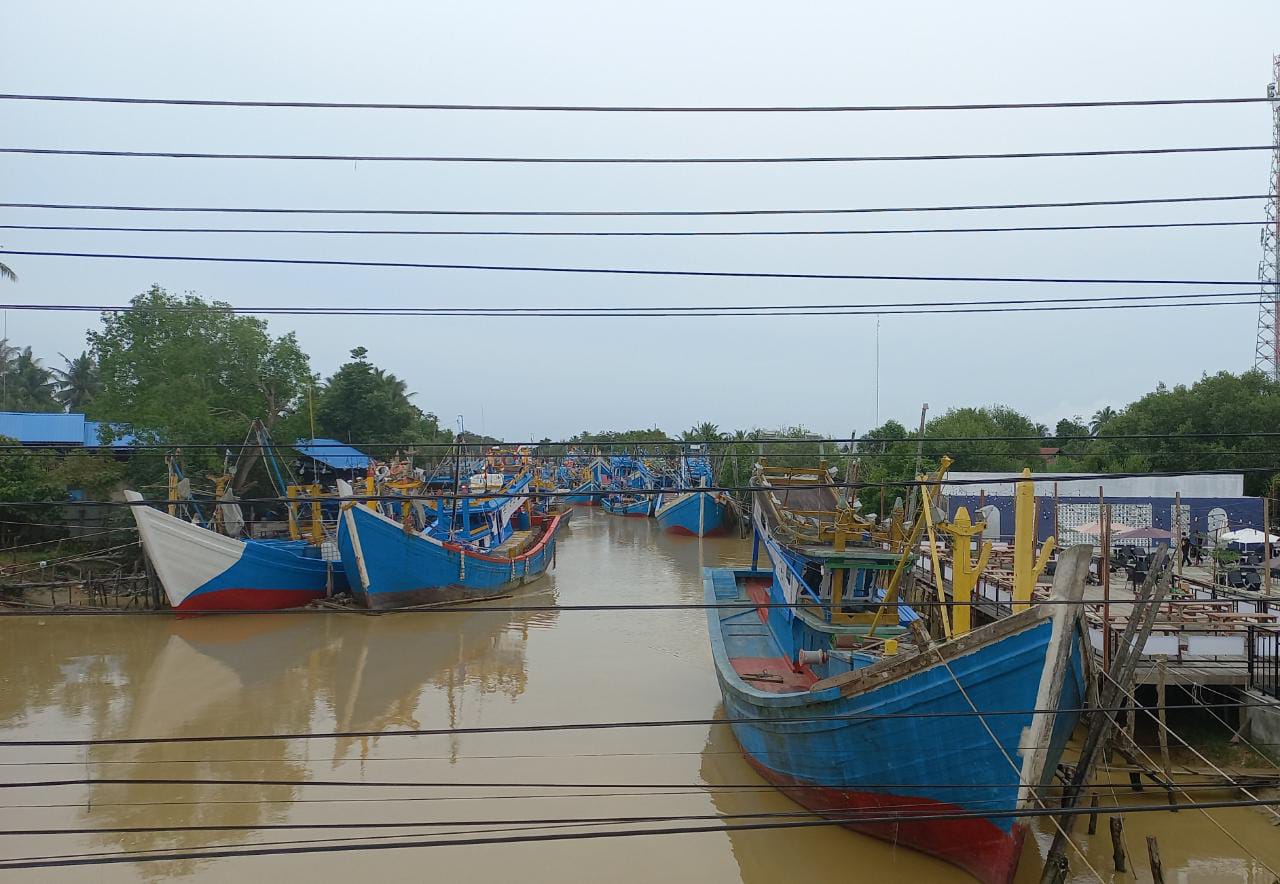 Dampak Banjir Aceh Tamiang, Stok Sembako Menipis, Harga Ikan Anjlok Dampak Banjir Aceh Tamiang, Stok Sembako Menipis, Harga Ikan Anjlok