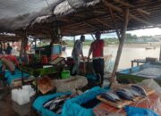 Dampak Banjir Aceh Tamiang, Stok Sembako Menipis, Harga Ikan Anjlok