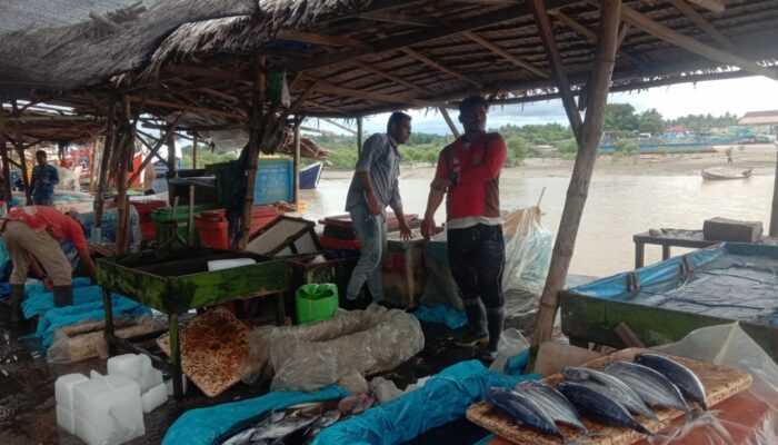 Dampak Banjir Aceh Tamiang, Stok Sembako Menipis, Harga Ikan Anjlok