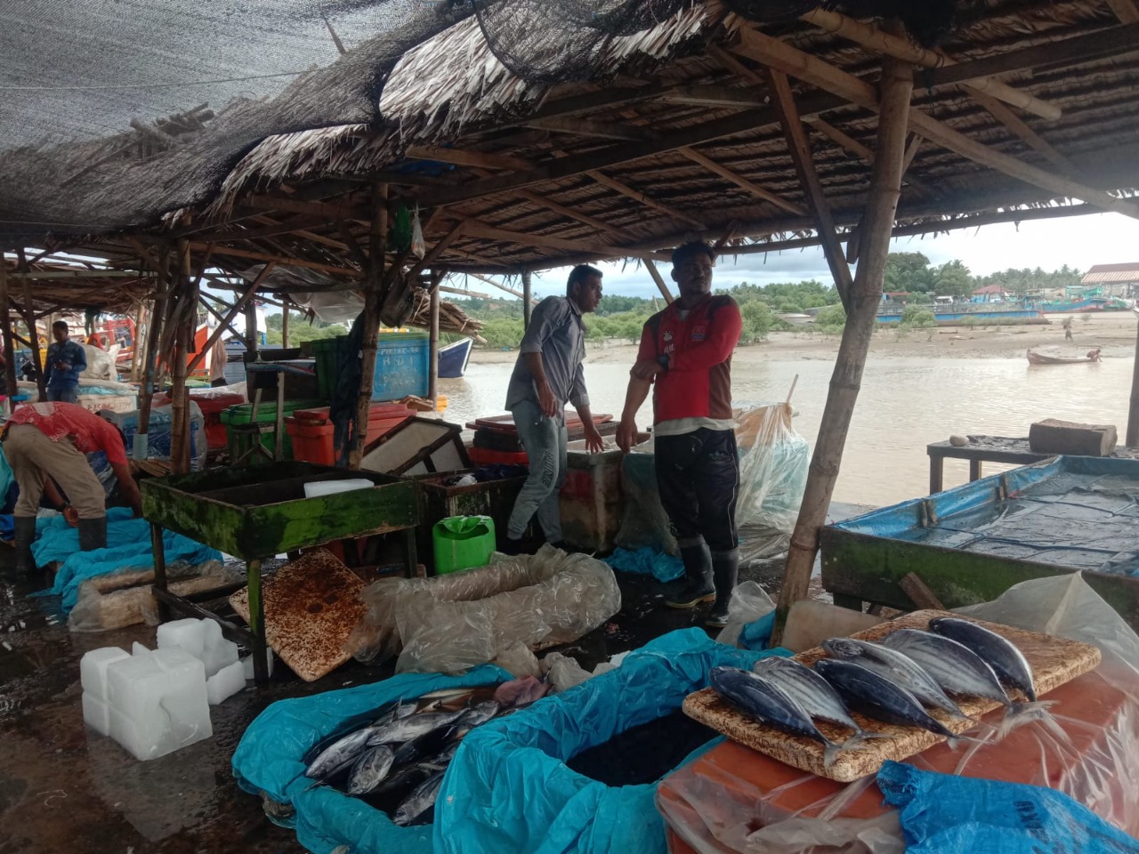 Dampak Banjir Aceh Tamiang, Stok Sembako Menipis, Harga Ikan Anjlok
