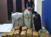 Poldasu Gagalkan Pengiriman 200 Kg Ganja Dari Aceh